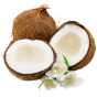 Продукція з кокоса (10)