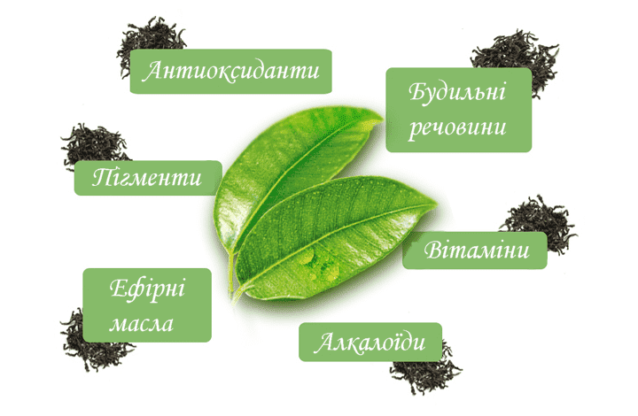 Склад зеленого чаю